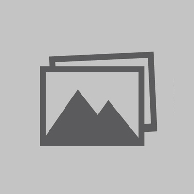 Present Simple - Exercises public_resources.teaching_resource