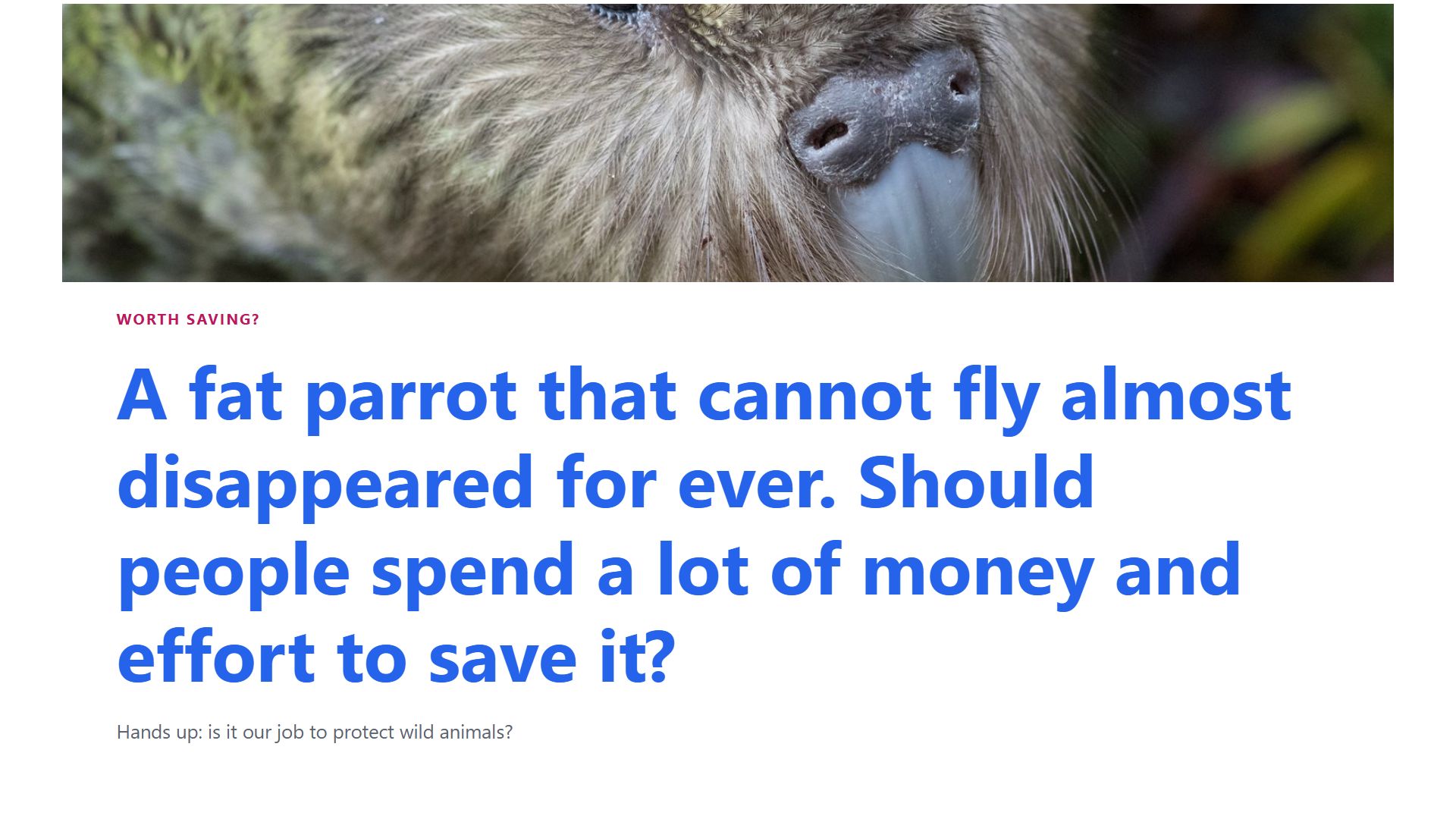 Worth saving?